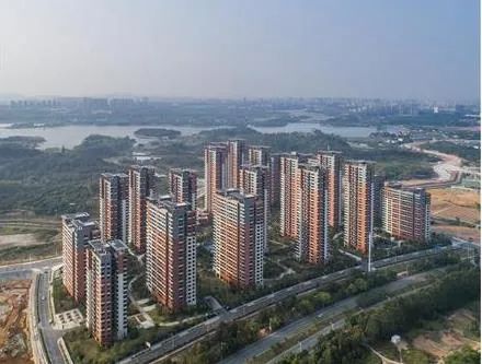 再度携手打造绿色华为 德尔地板中标华为绿岛项目_4